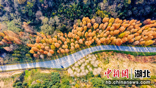 宋河鎮(zhèn)發(fā)水河村公路 宋河鎮(zhèn)發(fā)水河村公路