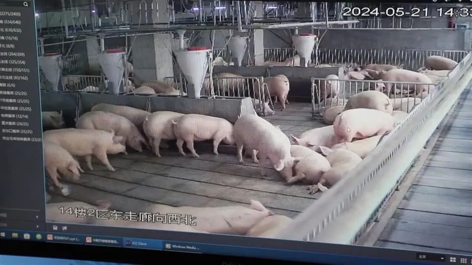 圖片