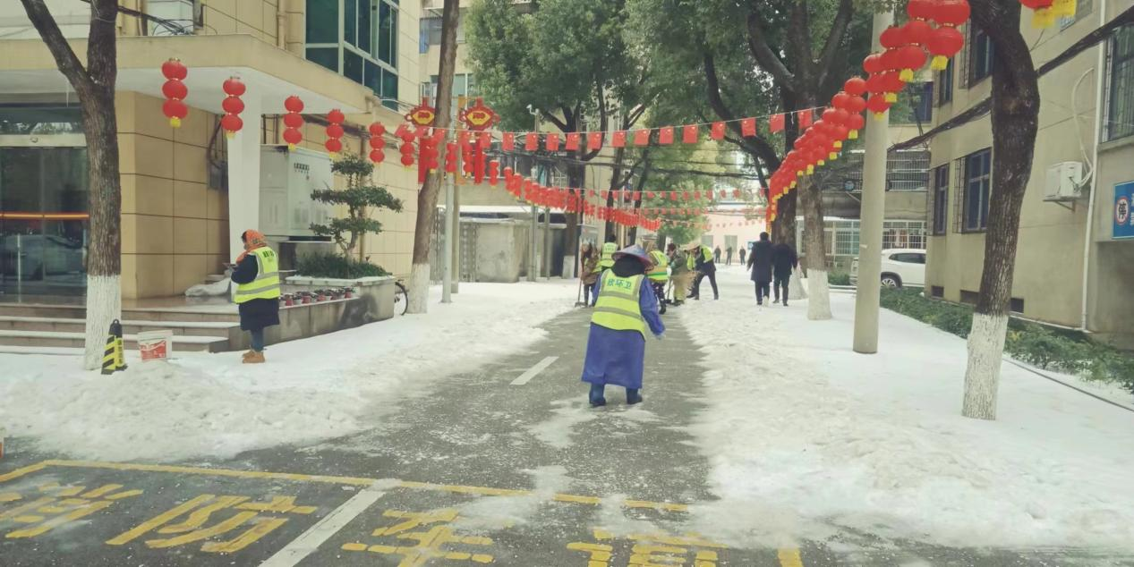 圖片19